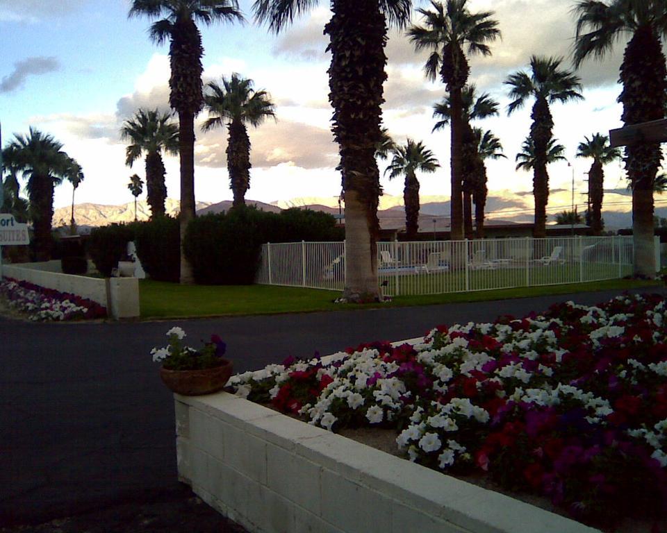 Stanlunds And Borrego Springs